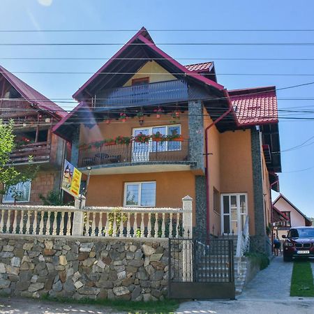 Curtea de ArgeşCasa Diana-Mariaアパートメント エクステリア 写真