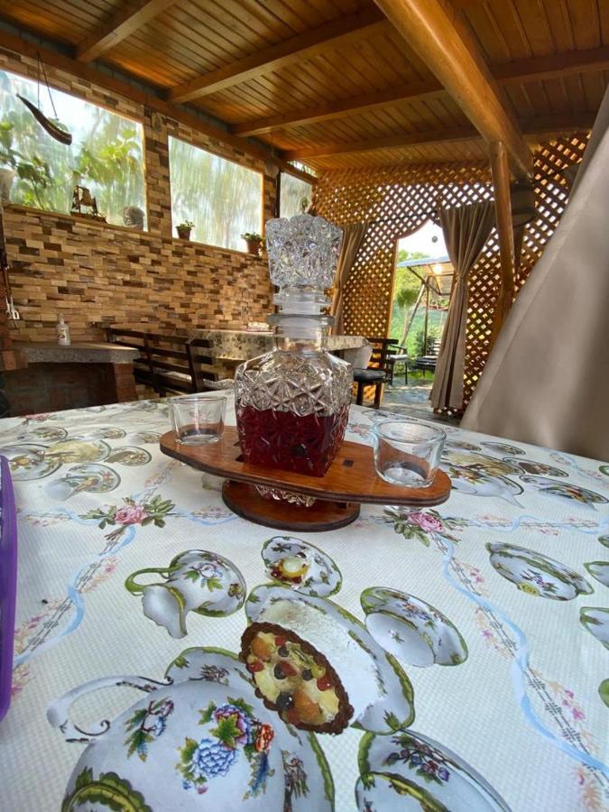 Curtea de ArgeşCasa Diana-Mariaアパートメント エクステリア 写真