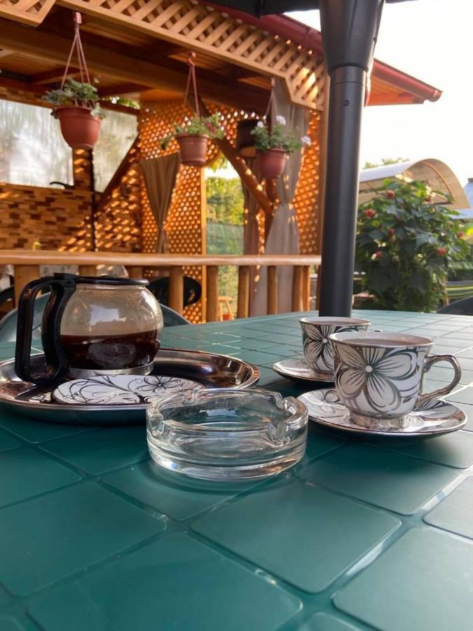 Curtea de ArgeşCasa Diana-Mariaアパートメント エクステリア 写真