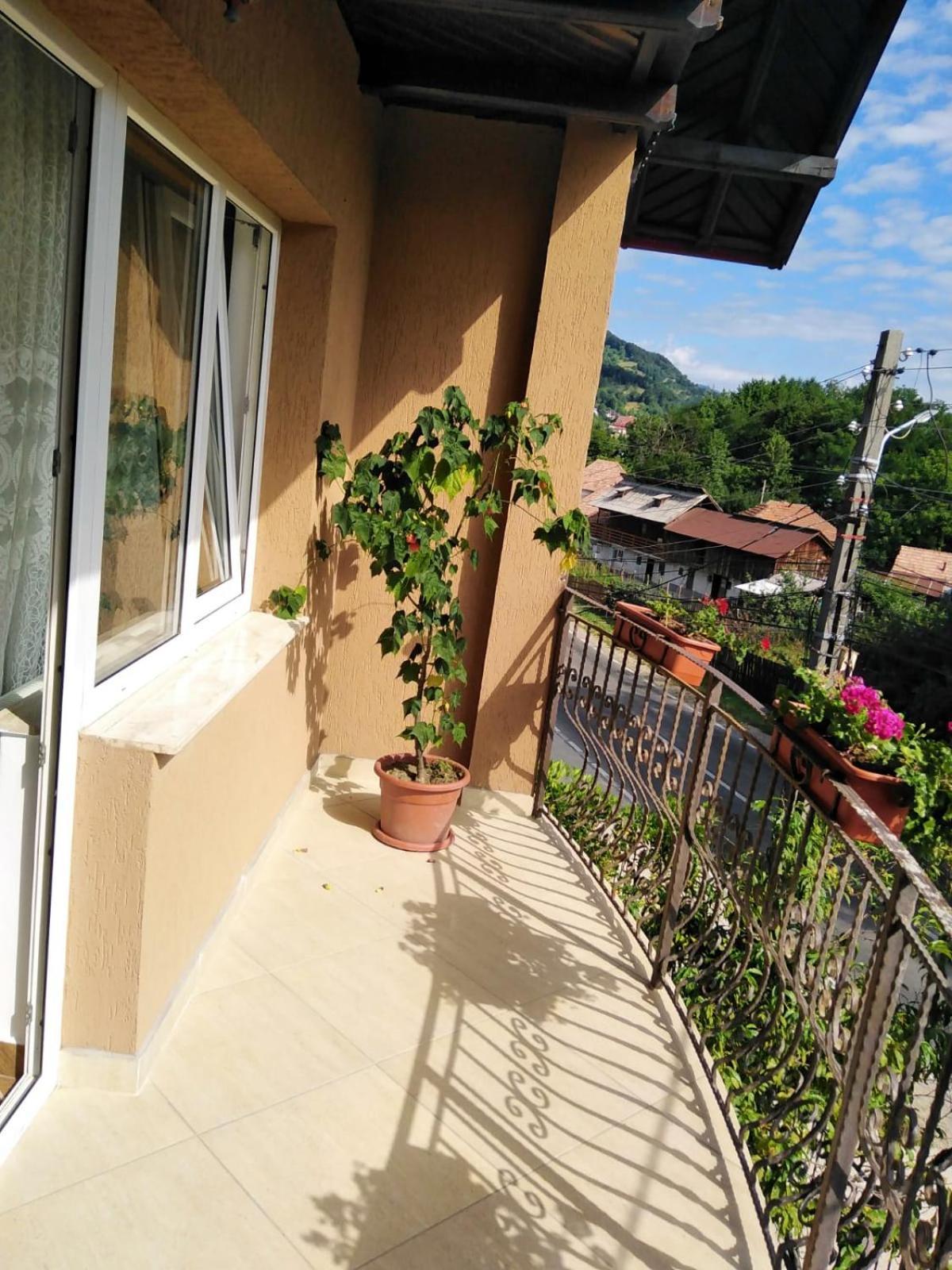Curtea de ArgeşCasa Diana-Mariaアパートメント 部屋 写真
