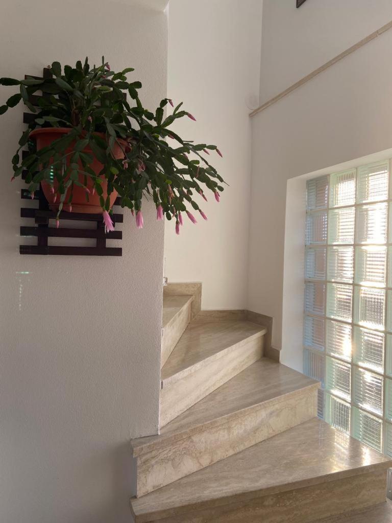 Curtea de ArgeşCasa Diana-Mariaアパートメント エクステリア 写真