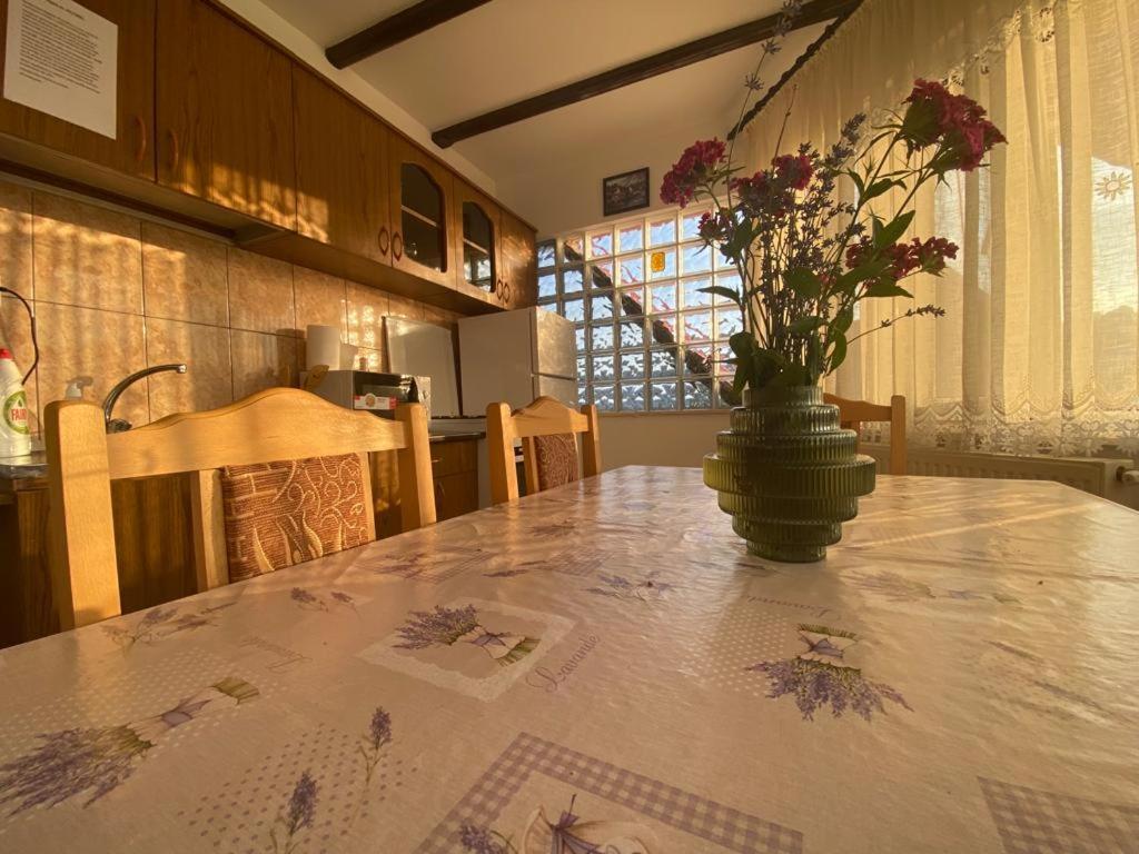 Curtea de ArgeşCasa Diana-Mariaアパートメント エクステリア 写真